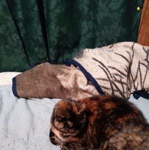 Meet your Posher, Jazmin